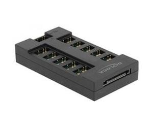 DeLOCK Concentrateur RGo pour LED RGo avec 10 ports, HUB