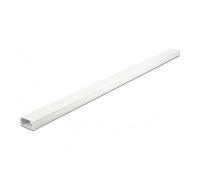 DeLOCK Conduite de câble avec capot 26 x 13 mm - longueur 1 m, blanc