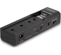 Delock Convertisseur USB Type-C™ pour 1 x M.2 NVMe SSD + 1 x SATA SSD / HDD avec fonction de clonage (64252)