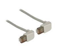 Delock - Cordon de raccordement - RJ-45 (M) pour RJ-45 (M) - 2 m - SFTP - CAT 5e - moulé, connecteur à 90 ° - gris