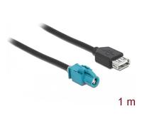 DeLOCK - Datenkabel - HSD Z (W) bis USB (W) - 1 m (90502)