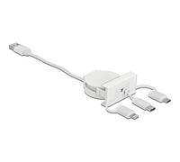 Delock Easy 45 Module USB 2.0 Câble Enroulable