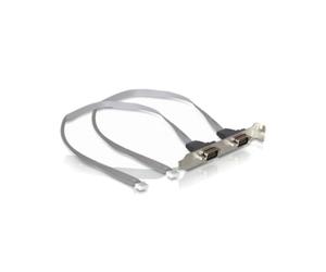 DeLOCK Équerre de Slot 2 Ports COM (Pas 2 mm) vers DB-9 Argent - Réf. 41791 - Connecteur DB-9 - Couleur Argent - Code SH 84733080