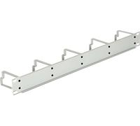 DeLOCK - Gestion de câbles - gris clair, RAL 7035 - 1U - 48,30cm (19") (42116)