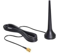 Delock GSM Quadband Antenna - Antenne - cellulaire - 2 dBi - omni-directionnel - extérieur - noir