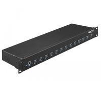 DeLock Hub industriel 19'' 13 x USB 5 Gbps Type A