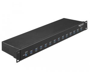 DeLock Hub industriel 19'' 13 x USB 5 Gbps Type A