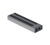DeLOCK Hub USB 3.2 Gen 1 63738 : 13 Ports Type-A, 5 Gbps, Boîtier Aluminium, Interrupteurs Individuels, USB Type-B, Compatible Windows/macOS/Linux, 12V/5A
