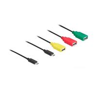 DeLOCK Hub USB 4 Ports USB 2.0 avec USB Type-C vers 3 Ports USB-A