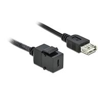 DeLOCK Keystone MÓDULO USB 2.0 C HEMBRA USB 2.0 A HEMBRA avec Cable