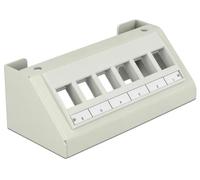 Delock Keystone Multimedia Panel - Boîte de dérivation pour montage en surface - gris - 6 ports