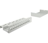 DELOCK Keystone Patchpanel 12 Port grau