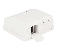 Keystone Surface Mounted Box - Boîtier d'insertion modulaire - blanc - 2 ports