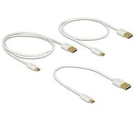Delock - Kit câble USB - blanc
