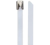 DeLock Lot de 10 Serre-câbles en Acier Inoxydable Blanc 200 x 7,9 mm