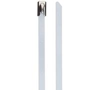 DeLock Lot de 10 Serre-câbles en Acier Inoxydable Blanc 400 x 4,6 mm