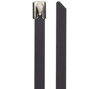 DeLock Lot de 10 Serre-câbles en Acier Inoxydable Noir 200 x 7,9 mm