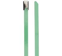 DeLock Lot de 10 Serre-câbles en Acier Inoxydable Vert 200 x 4,6 mm