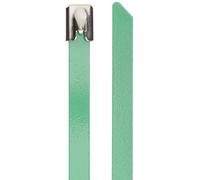 DeLock Lot de 10 Serre-câbles en Acier Inoxydable Vert 200 x 7,9 mm