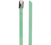 DeLock Lot de 10 Serre-câbles en Acier Inoxydable Vert 300 x 4,6 mm