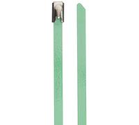 DeLock Lot de 10 Serre-câbles en Acier Inoxydable Vert 400 x 4,6 mm