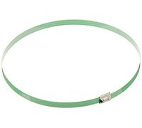 DeLock Lot de 10 Serre-câbles en Acier Inoxydable Vert 500 x 7,9 mm