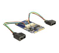 Delock MiniPCIe I/O PCIe full size 2 x USB 2.0 - Adaptateur USB - PCIe Mini Card - USB 2.0 x 2