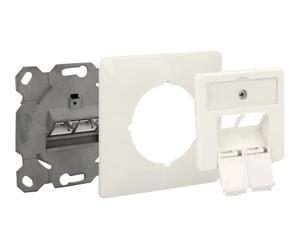DeLOCK Modular Wall Outlet flush mount 2 Port Cat.6A LSA - Prise à montage encastré - RJ-45 X 2 - commande unique