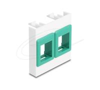Delock Module Easy 45 avec deux supports Keystone 45 x 45 mm, blanc/vert