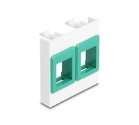 Delock Module Easy 45 avec deux supports Keystone 45 x 45 mm, blanc/vert