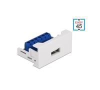 DeLOCK Module Easy 45 USB 2.0 Type-A Femelle sur Bornier, 22.5x45mm, Connecteur Droit, ABS Blanc, Connexion Bornier 6-Pin