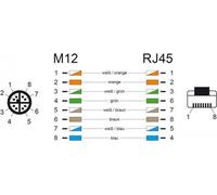 DeLOCK - Netzwerkkabel - 8 pin M12-X (M) bis RJ-45 (M) - 1,0m - SF/UTP - CAT 5e - Wasserblau (85425)