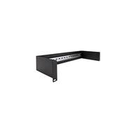 Delock Panneau de Rail de Toit 2 U 19" - Noir