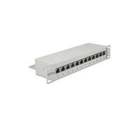 DeLOCK - Patch Panel - RJ-45 X 12 - Hellgrau, RAL 7035 - 1U - 25,40cm (10") (43308)