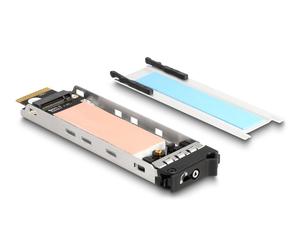 DeLOCK Plateau interne de rack mobile 1 x M.2 NVMe SSD pour rack mobile 47028 / 47042 / 47070 / 47072 / 47111 / 47117 / 47126 / 47129
