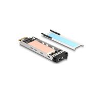DeLOCK Plateau Interne pour SSD M.2 NVMe - Compatible Racks Mobiles 47028/47042/47070/47072/47111/47117/47126/47129 - Support formats 2230 à 2280 - Interface PCI Express
