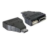 Delock Power Over ESATA adapter - Adaptateur eSATA Power Over - Serial ATA 150/300 - USB, eSATA pour eSATAp (M) G