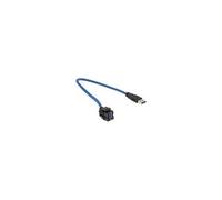 Delock - Prise modulaire - 50 cm - USB Type A