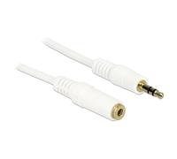 Delock - Rallonge de câble audio - mini-phone stereo 3.5 mm femelle pour mini-phone stereo 3.5 mm mâle - 5 m - blanc