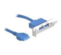 Delock Slot bracket - Panneau USB - tête 19 broches USB 3.0 (F) pour USB type A (F) - 40 cm
