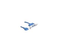 Delock Slot bracket - Panneau USB - tête 19 broches USB 3.0 (F) pour USB type A (F) - 40 cm