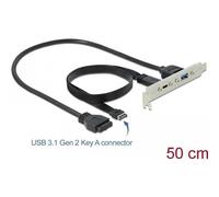 DeLOCK Slot bracket - USB-Konsole - 19-poliger USB3.0 Kopf, 20-poliger USB 3,1 Header bis USB Typ A, USB-C (W) - 5 / 20 V - 50cm - Schwarz (89934)