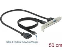 DeLOCK Slot bracket - USB-Konsole - 19-poliger USB3.0 Kopf, 20-poliger USB 3,1 Header bis USB Typ A, USB-C (W) - 5 / 20 V - 50cm - Schwarz (89934)