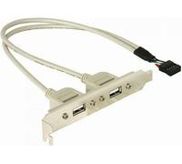 Delock Slotblech 2x USB2.0 externe