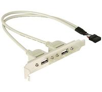 Delock Slotbracket 1x internal USB 5pin > 2x USB2.0 external Equerre de slot 1 pc(s)