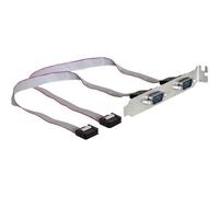 Delock Slotbracket > 2x serial - Panneau série - tête série 9 broches (F) pour DB-9 (M) - 27 cm