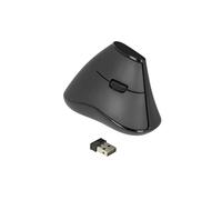 DeLOCK Souris Verticale Ergonomique 12622, RF sans fil 2.4 GHz, 1000 DPI, 5 Boutons, Optique, Droitier, Portée 10m, Pile AA, Compatible Windows/Linux