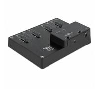 DeLock Station d'accueil unité 64124 – Lecteur de stockage USB 3.2 (3.1 Gen 2) Type-C – Noir