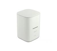 DeLOCK 63331 Boîtier de disques de Stockage Enceinte ssd Blanc M.2