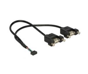 DeLOCK USB 2.0 10-Pin > 2 x USB-A 2.0 female panel-mount, Câble